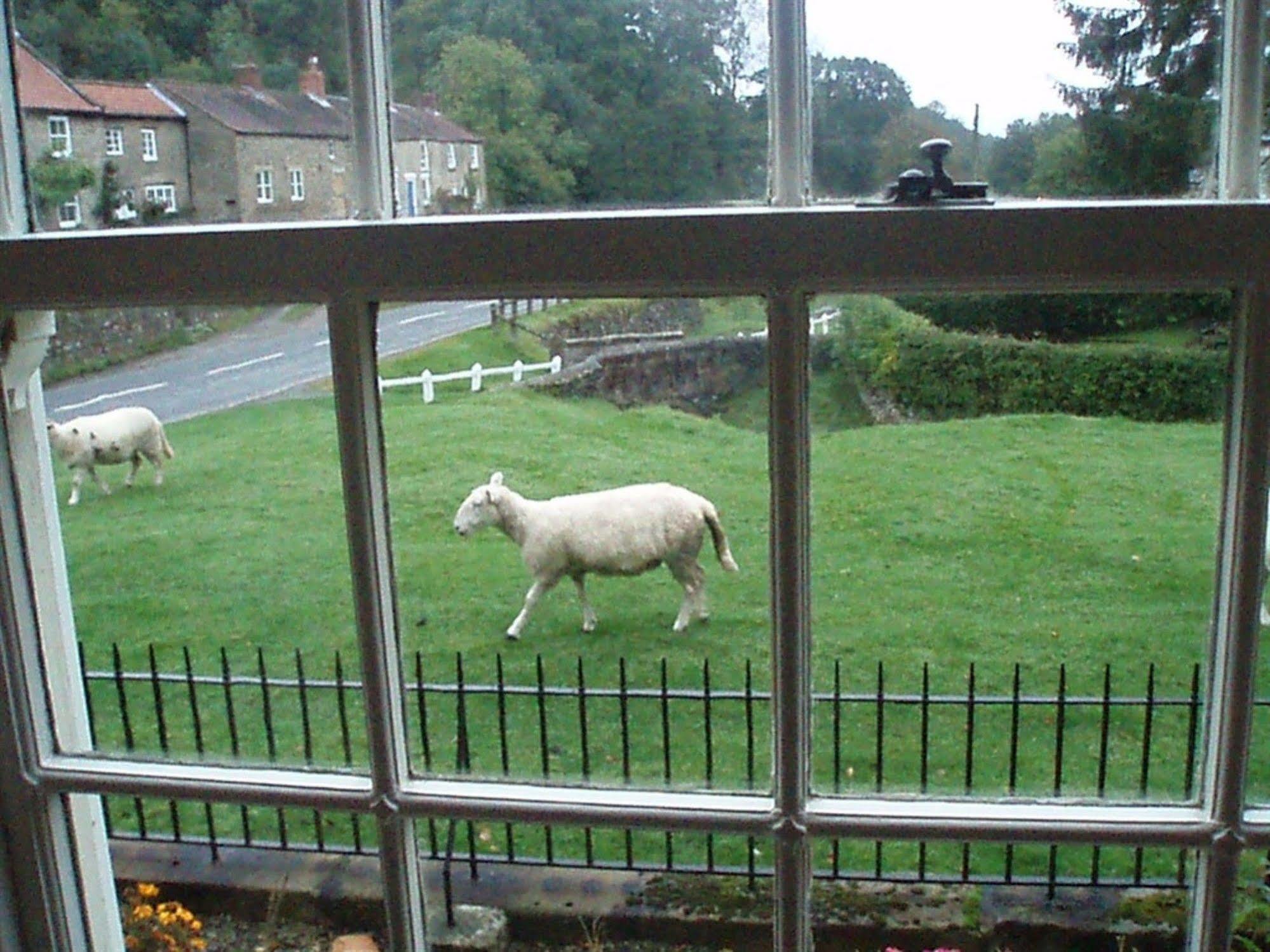 Hotel Burnley House Hutton le Hole Exterior foto